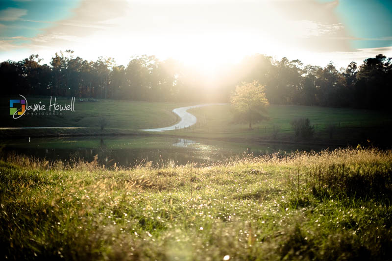 Serenbe Farms engagement
