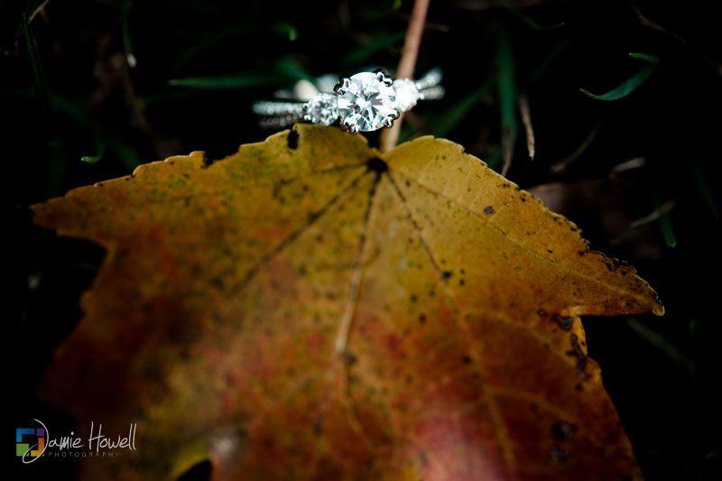 Atlanta Piedmont Park Engagement photography