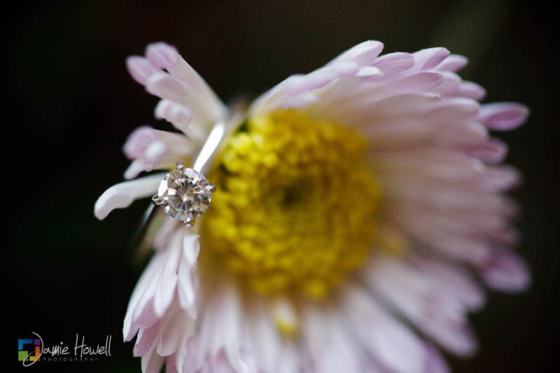 Barnsley Gardens Engagement Barnsley Gardens Engagement