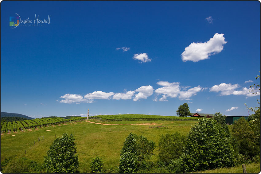 Blackstock Winery wedding