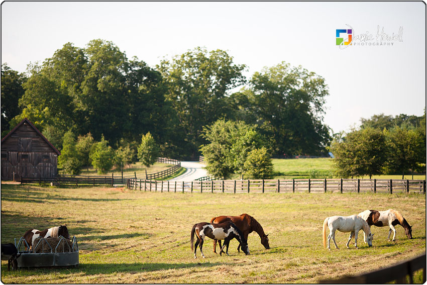 Serenbe Farms Engagement