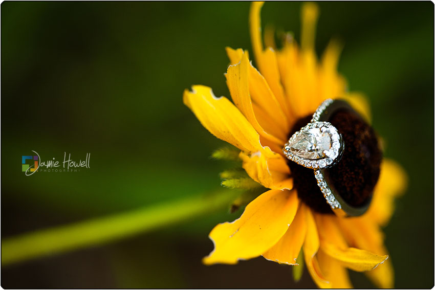 Serenbe Farms Engagement