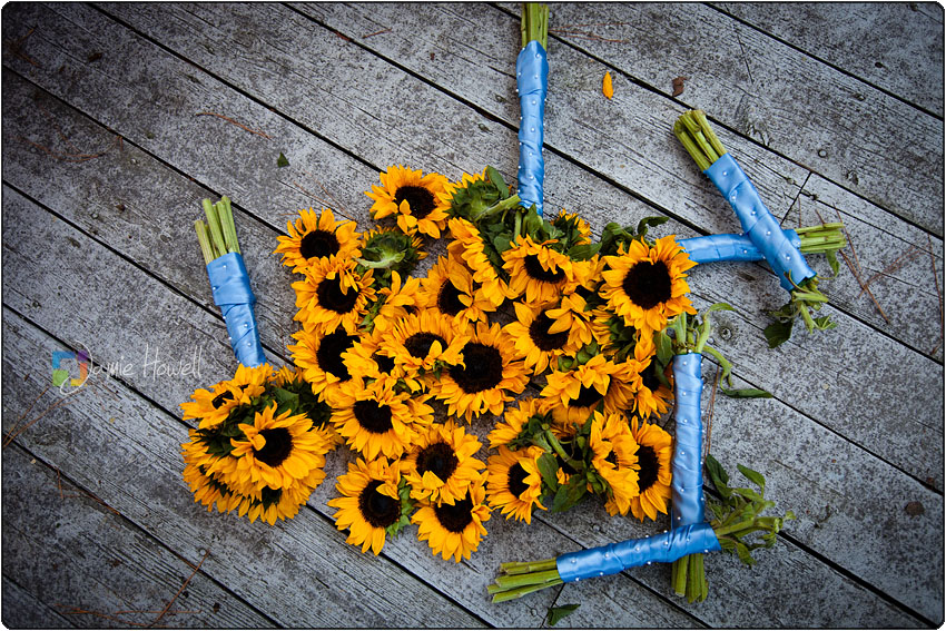 oglesbee-365 Vine's Mansion wedding