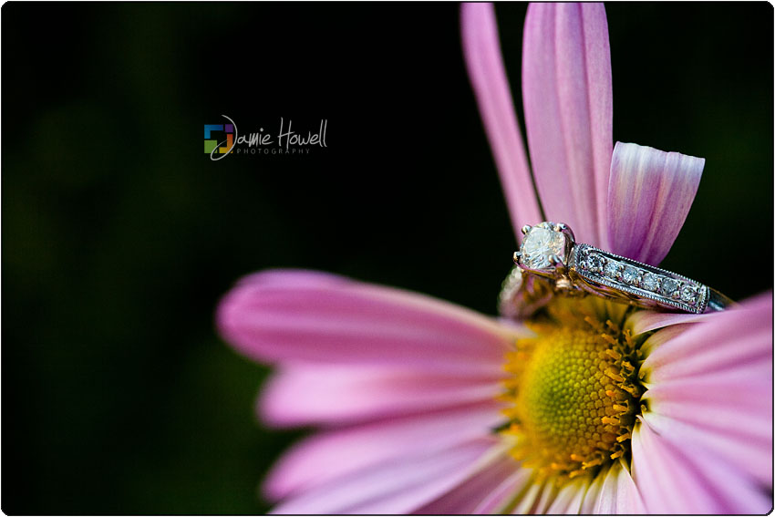 oglesbee-385 Vine's Mansion wedding