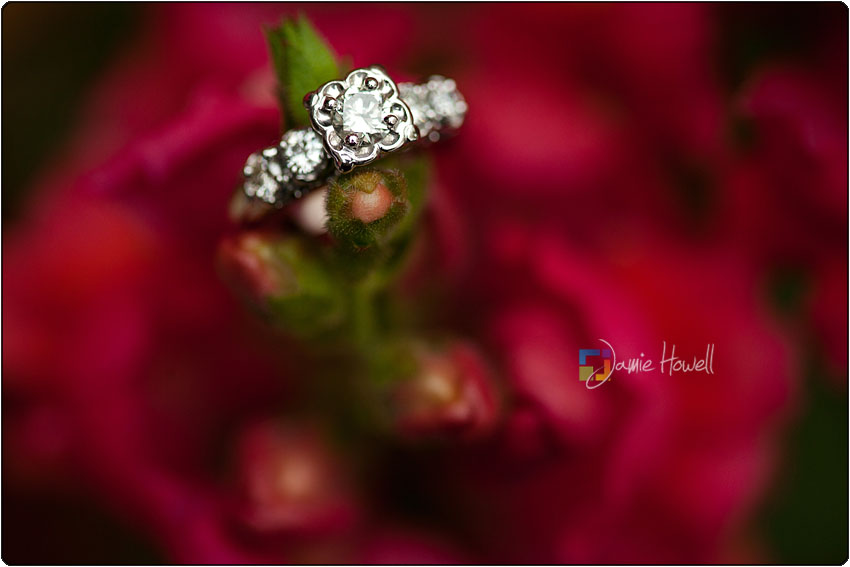 mcmillian_engagement-40