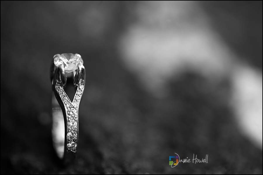 Barthold_engagement-53