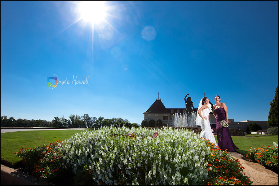 Chateau Elan Marriage