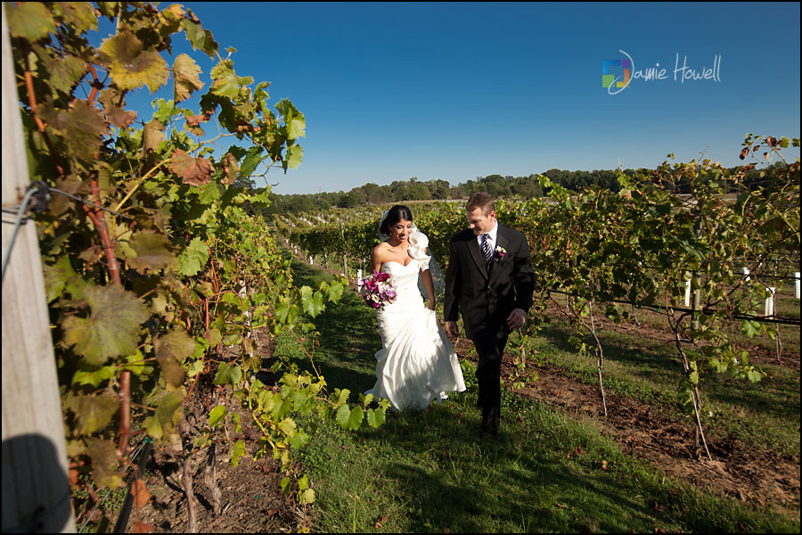 Marriage at Chateau Elan