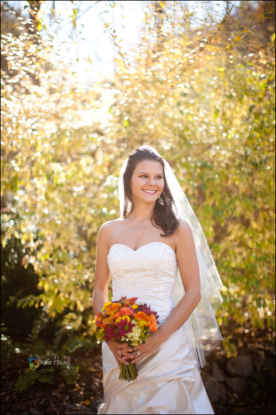 Cellars at Betty's creek wedding