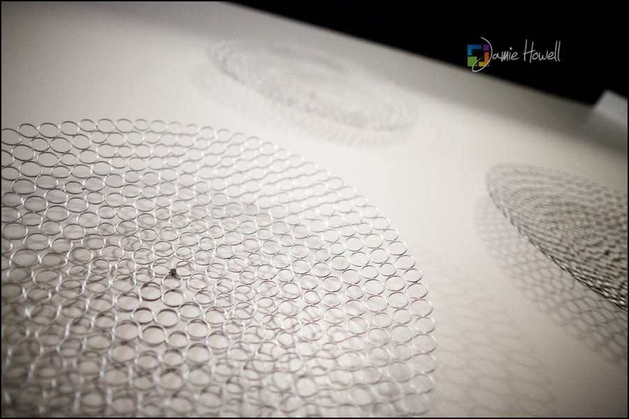 Lambert Place wedding