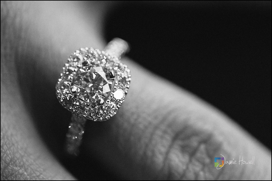 Atlanta Proposal Photographer