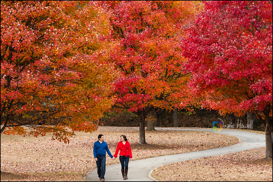 Sharma_engagement-55