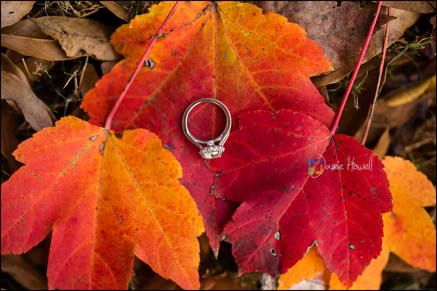 Sharma_engagement-68