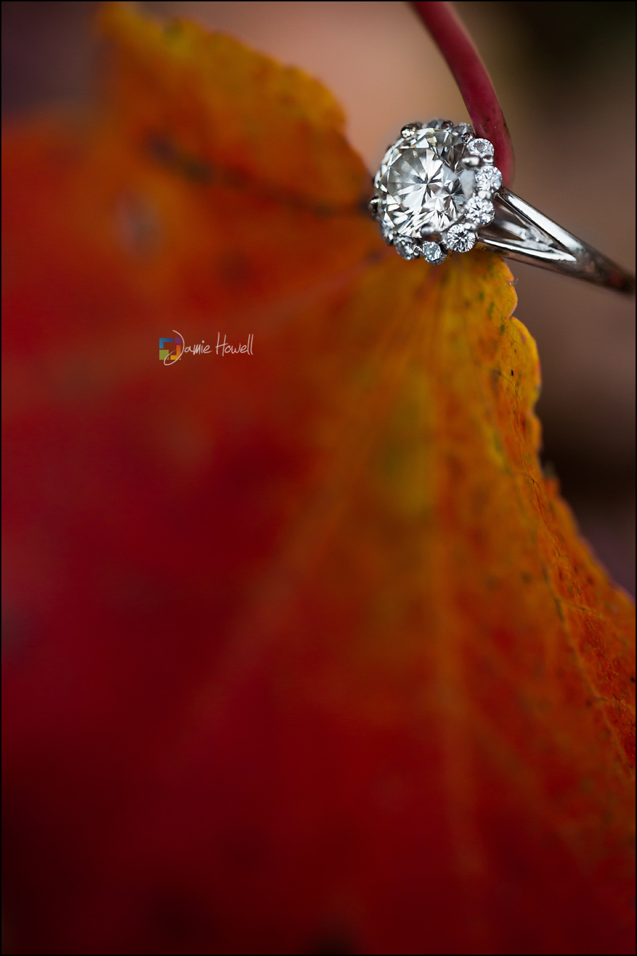 Sharma_engagement-71