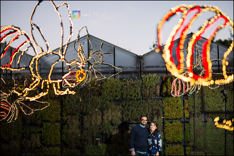 Mistry_engagement-28