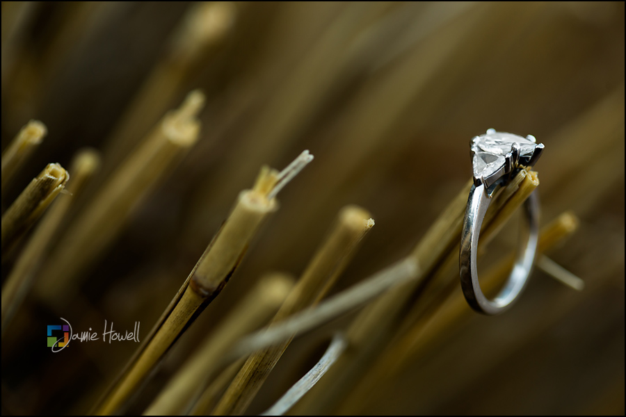 Atlanta Engagement Photographer