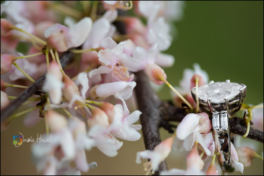 Giardina_engagement_session-62