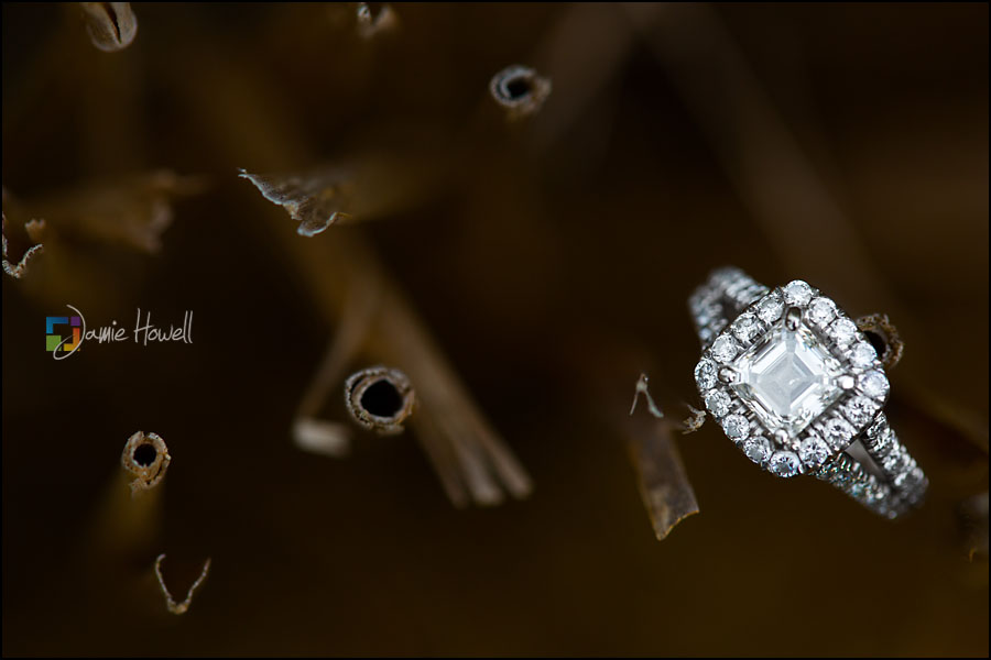 Guterman_engagement-55