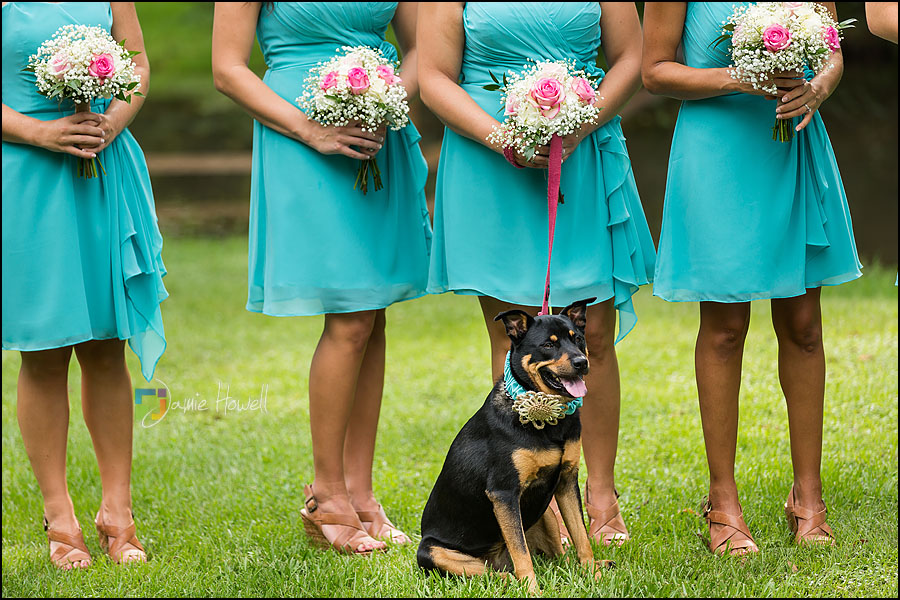 Augusta Wedding Photography