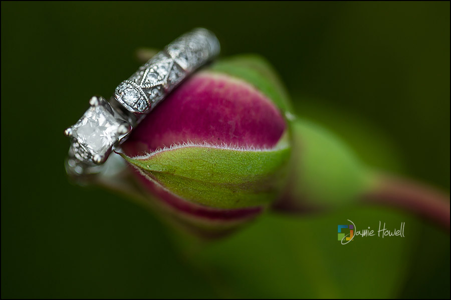 Atlanta Engagement Session