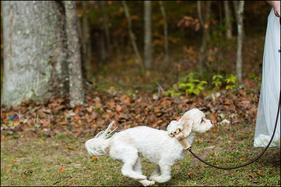 North GA Mountain Wedding