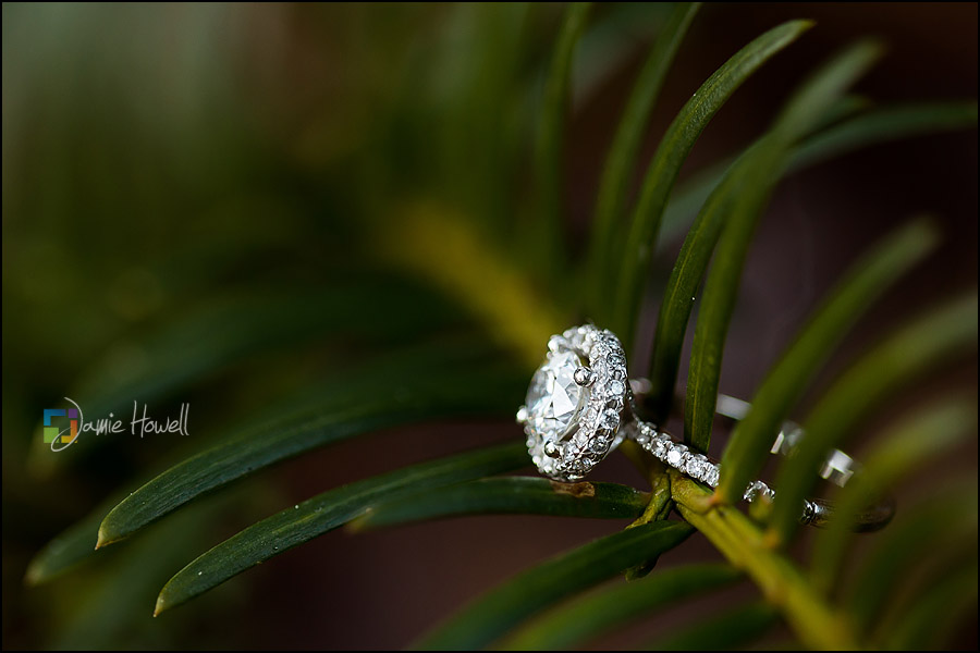 Atlanta Engagement Session
