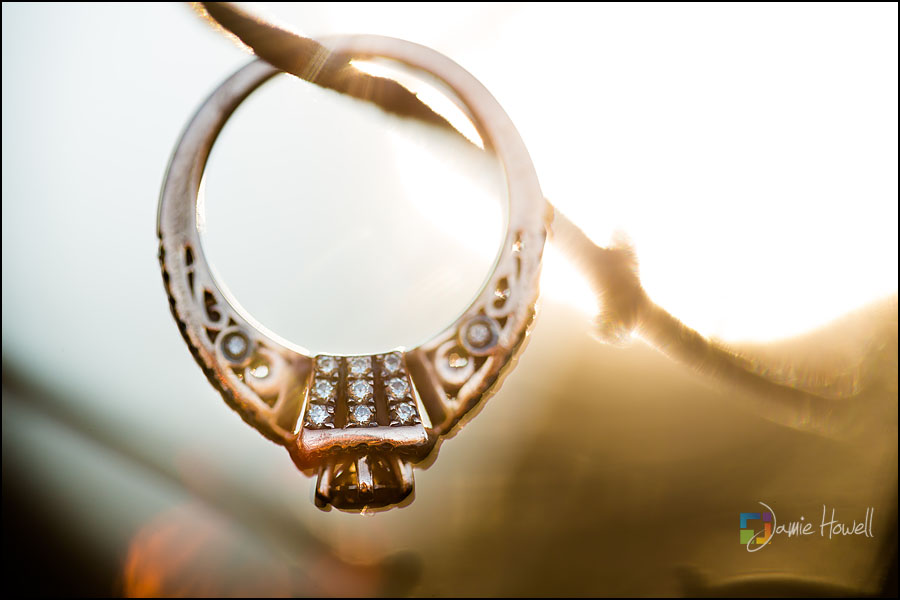 Piedmont Park Engagement Session