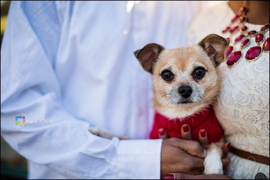 Piedmont Park Engagement Session