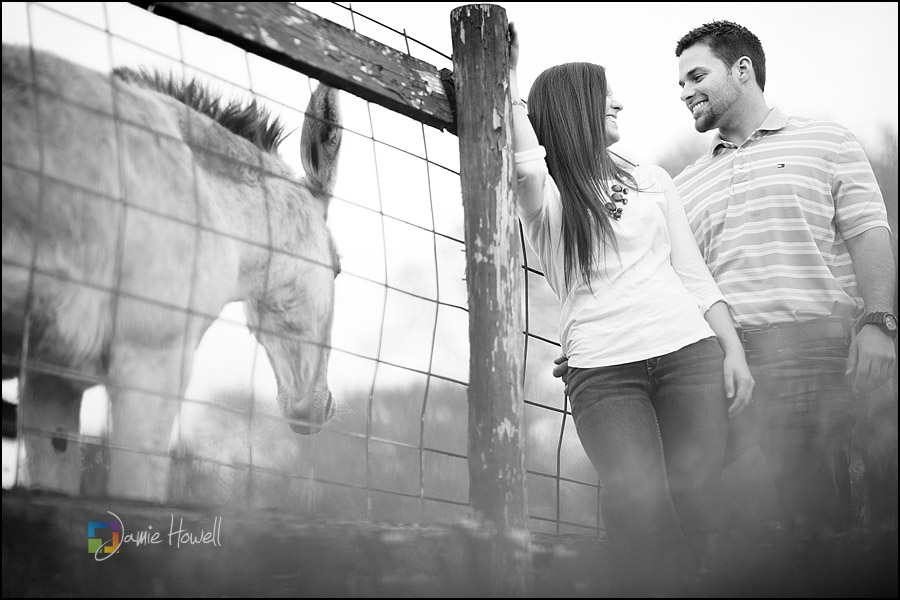 Perkins_engagement-22