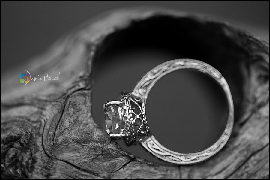 North Georgia engagement session (3)