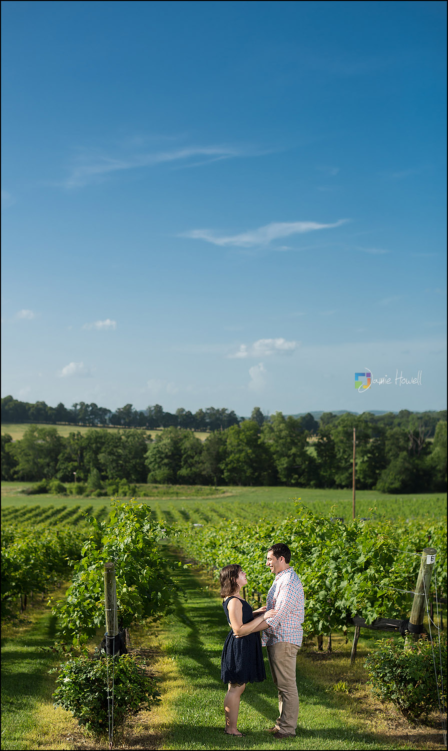 Arrington Vineyard engagement (5)