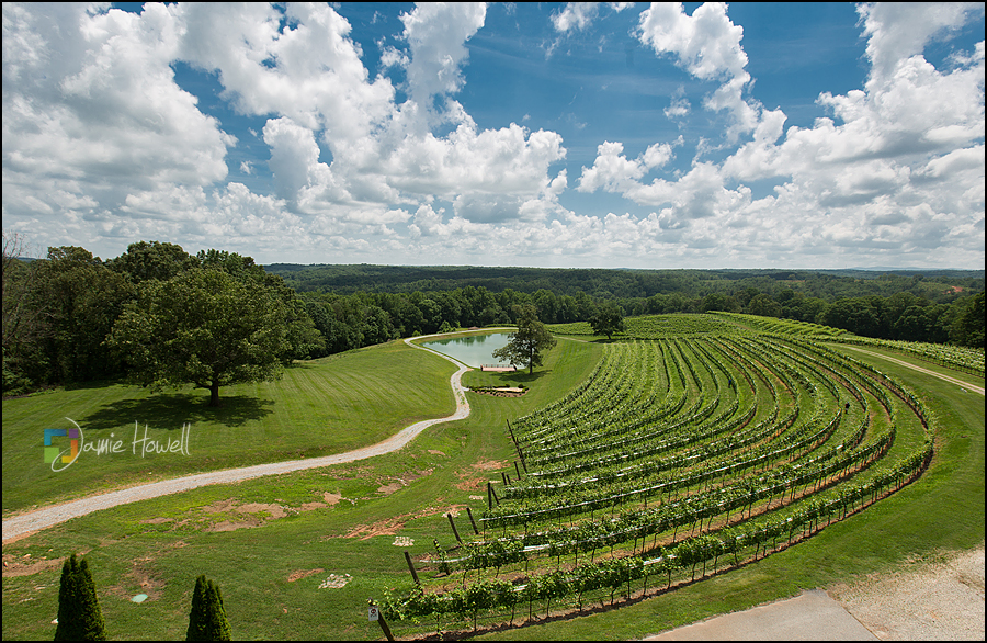 Montaluce Winery Wedding (1)