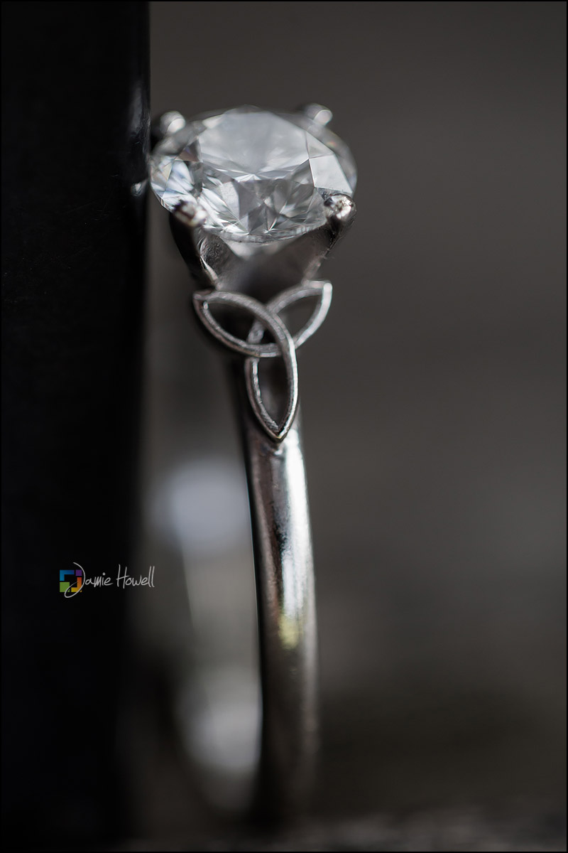 Atlanta Piedmont Park engagement (9)