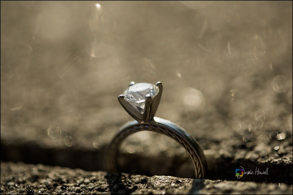 Atlanta South Asian engagement session (11)