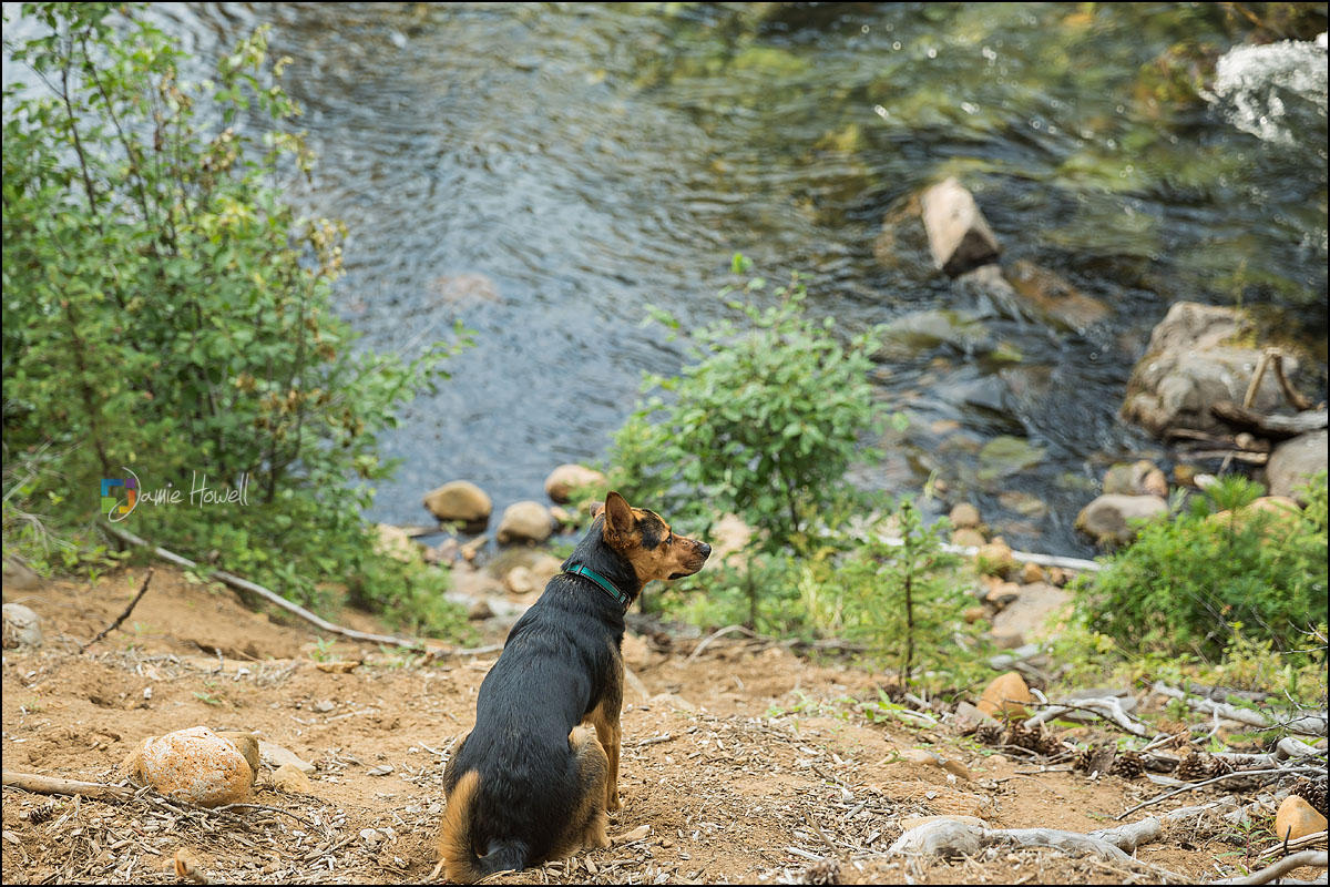 Bend Oregon Wedding (21)