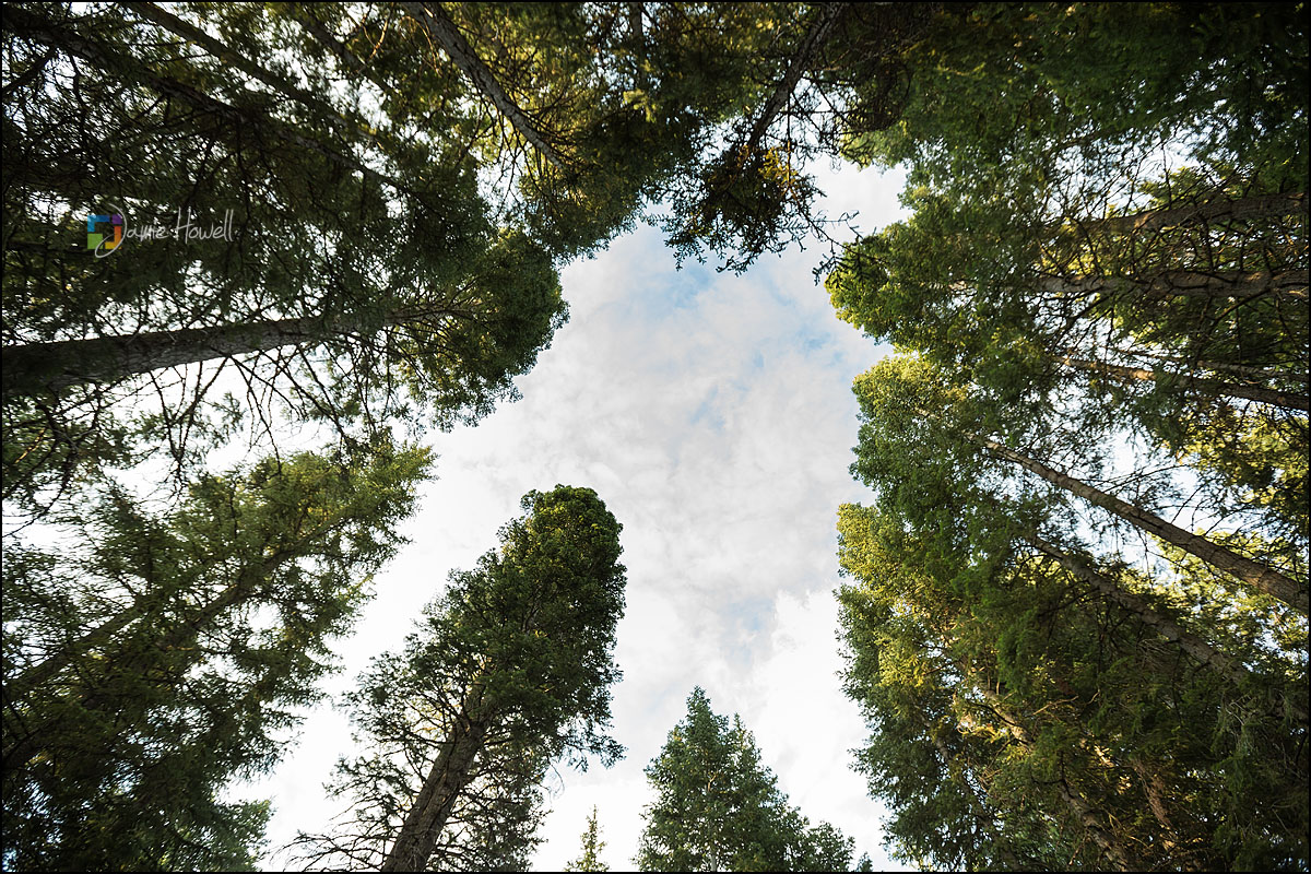 Bend Oregon Wedding (23)