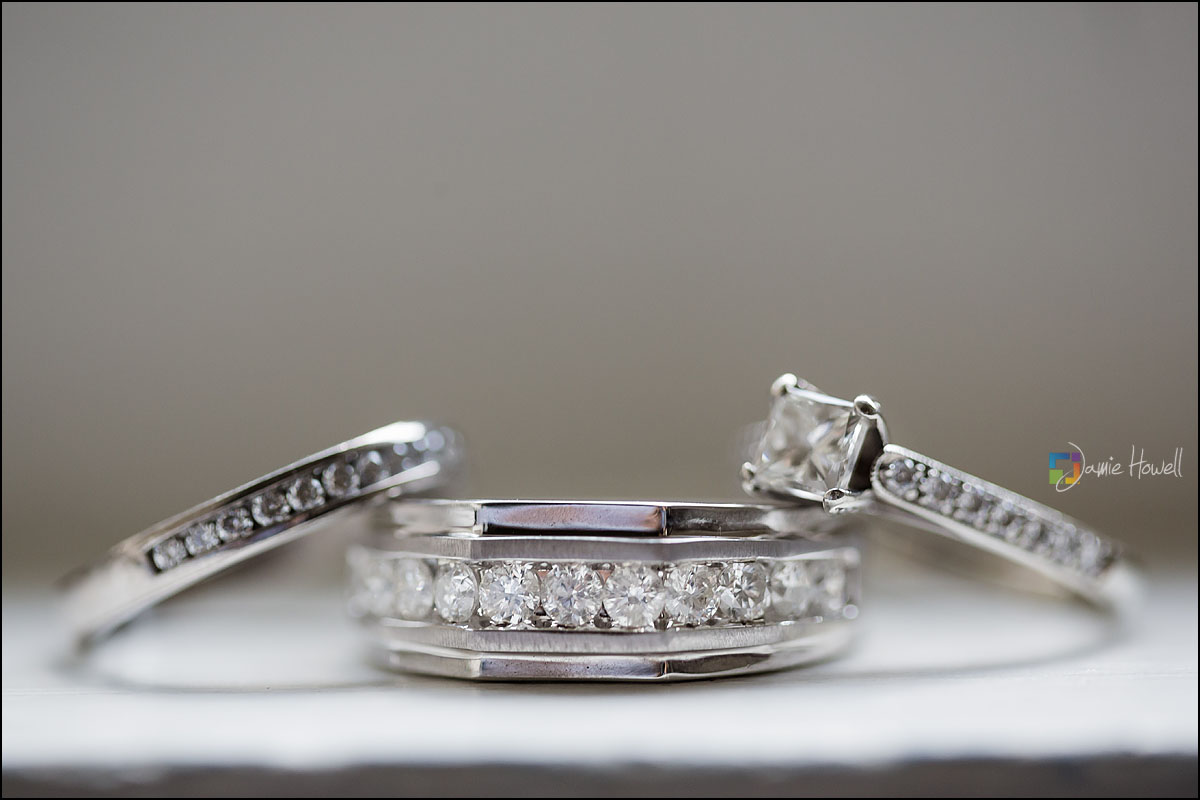 Callanwolde Fine Arts Center Wedding (5)