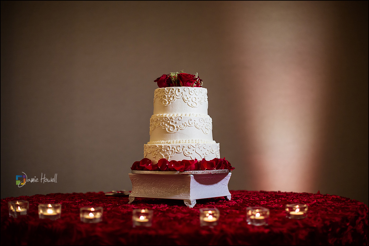 Westin Atlanta South Asian wedding (26)