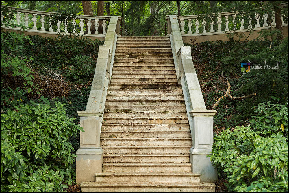 Cator Woolford Gardens Wedding (1)