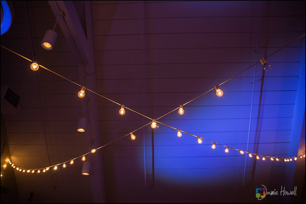 Cator Woolford Gardens Wedding (38)