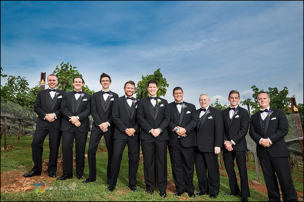 Wolf Mountain Vineyard wedding (10)