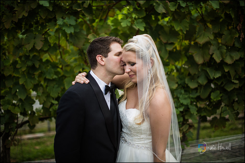 Wolf Mountain Vineyard wedding (25)