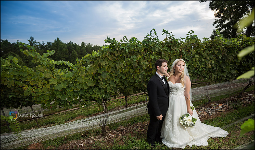 Wolf Mountain Vineyard wedding (27)