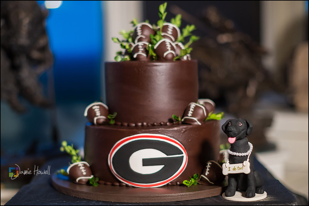 Wolf Mountain Vineyard wedding (36)