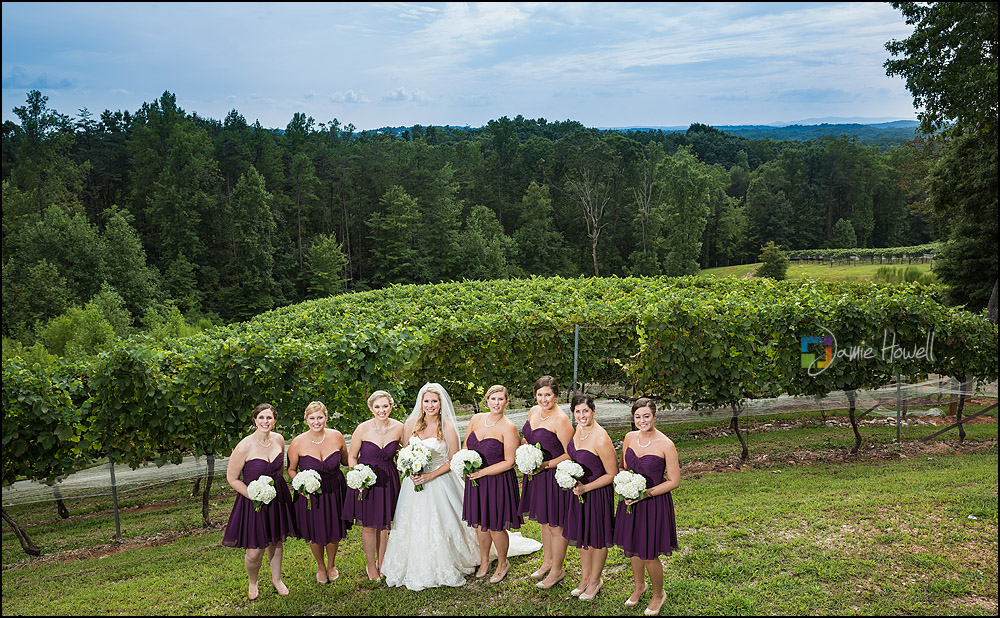 Wolf Mountain Vineyard wedding (7)