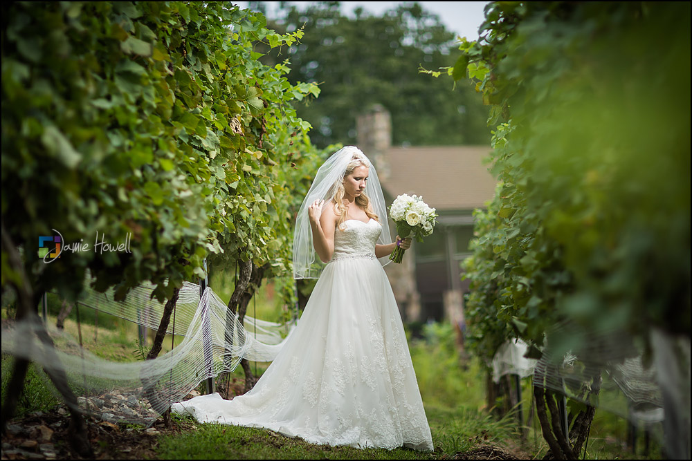 Wolf Mountain Vineyard wedding (9)