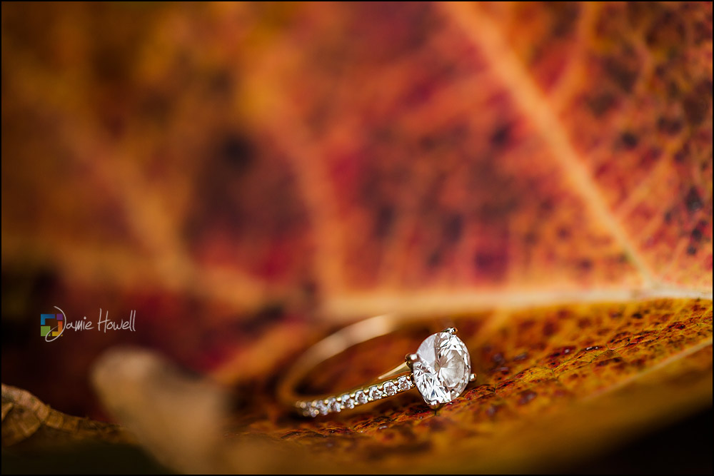 Atlanta Indian engagement session (10)