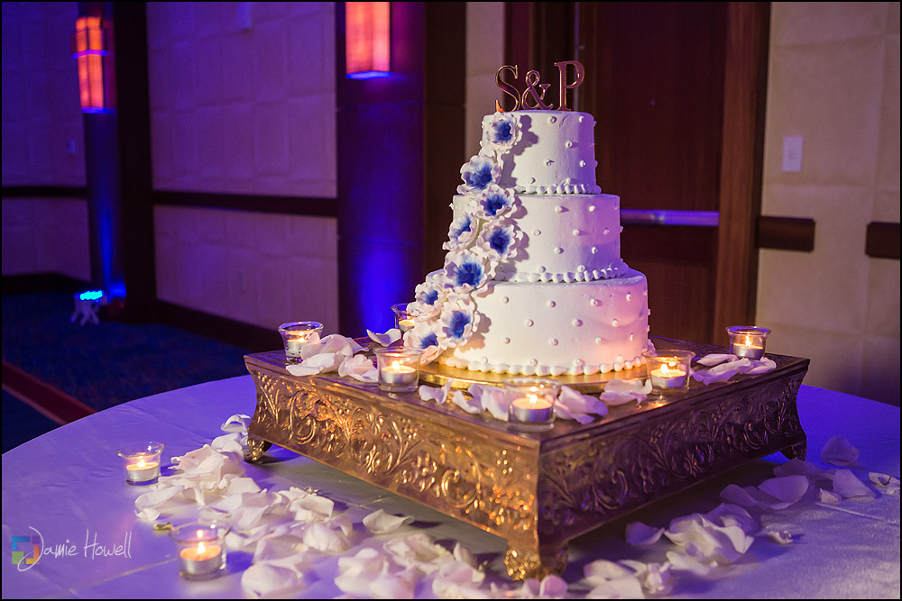 Atlanta Marriott Buckhead Indian Wedding(44)