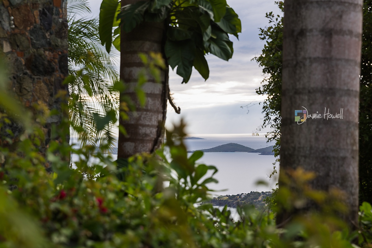 St. John Destination Wedding (3)