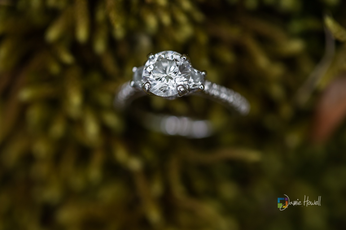 Atlanta Engagement Session (8)